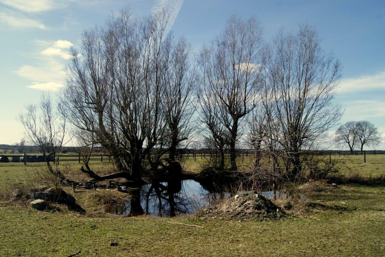 Отель Agroturystyka Stajnia Rusinowo Tuczno Экстерьер фото